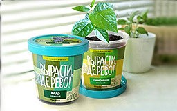 Наборы для выращивания оптом