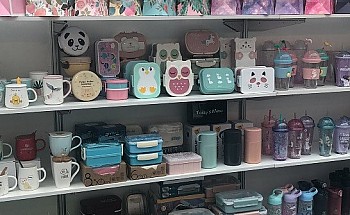 6E025037-FC0E-40B5-98CB-14A72A11F973