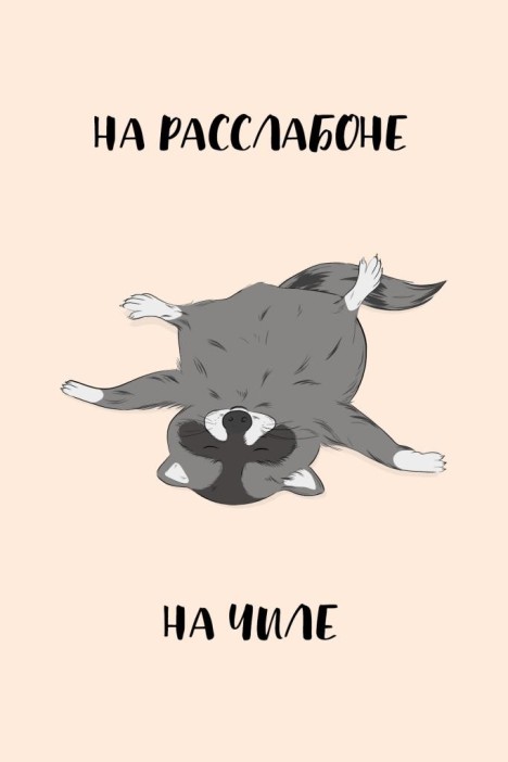 Набор открыток 5 шт. «На чиле», 10*15 см 