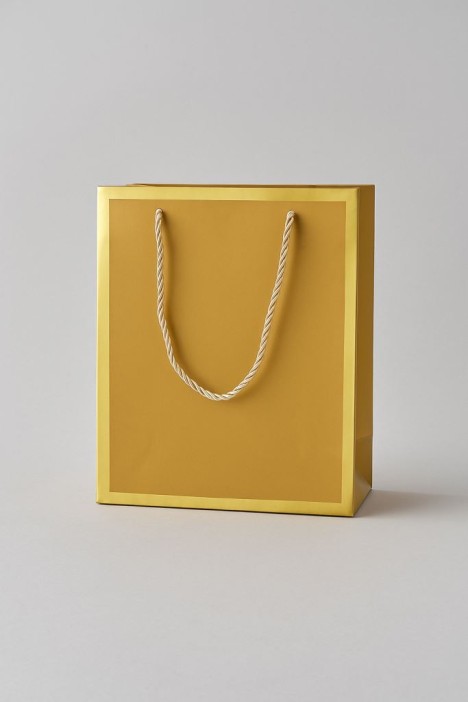 Пакет подарочный (S) «Classic line», gold (24.5*19.5*9.5) 