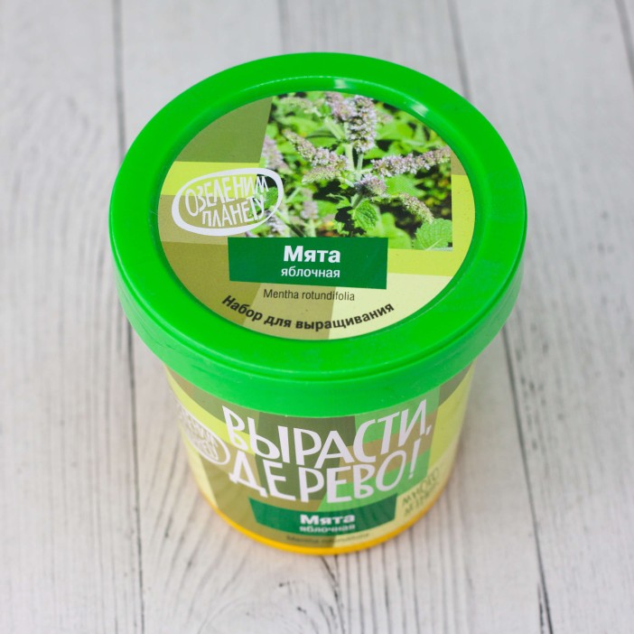 Набор для выращивания &quot;Мята яблочная&quot; 
