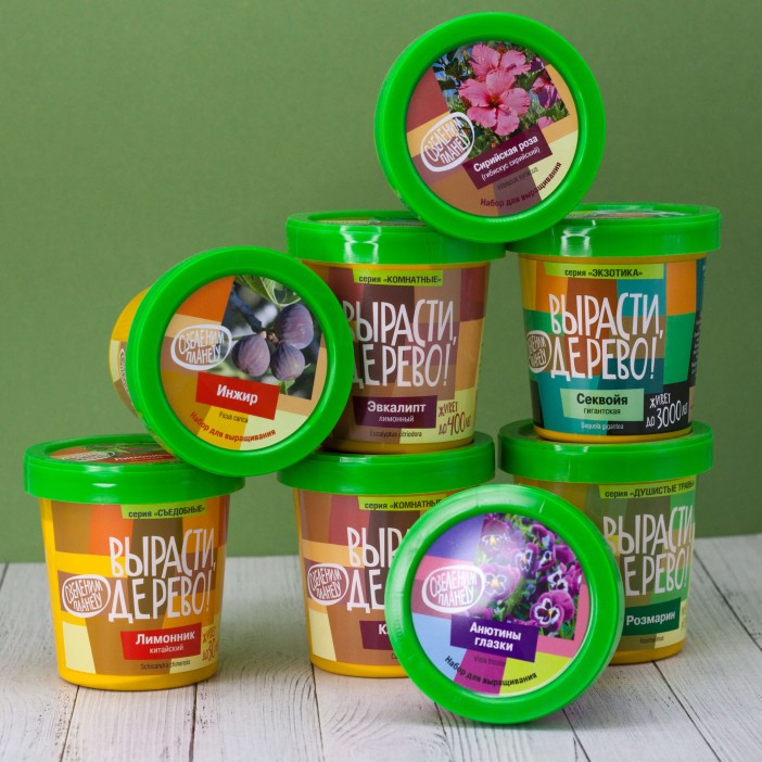 Набор для выращивания &quot;Мята яблочная&quot; 