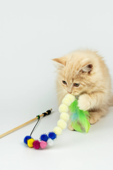 Махалка для кошек "Червяк", 50 см