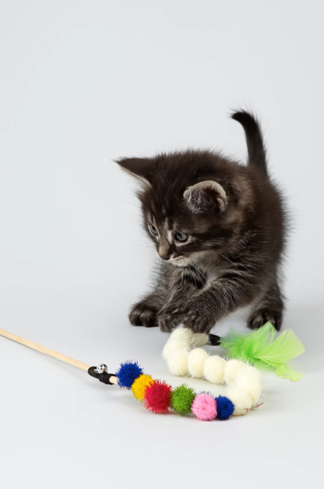 Махалка для кошек &quot;Червяк&quot;, 50 см 