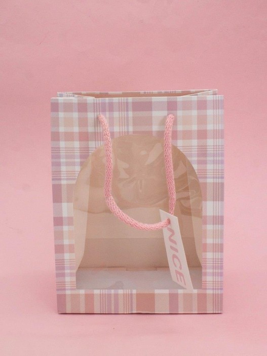 Пакет подарочный «Nice», pink (18*23*10) 