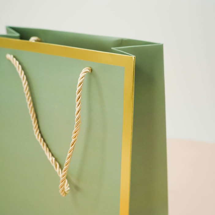 Пакет подарочный (S) «Classic line», green (24.5*19.5*9.5) 