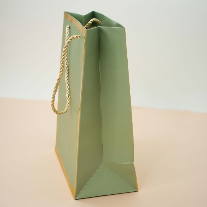 Пакет подарочный (S) «Classic line», green (24.5*19.5*9.5) 