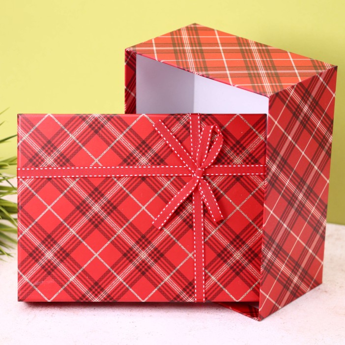 Подарочная коробка «Red cell» 22.5*17*10 