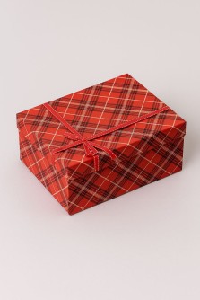 Подарочная коробка «Red cell» 22.5*17*10