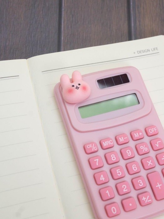 Калькулятор "Clever bunny", pink 