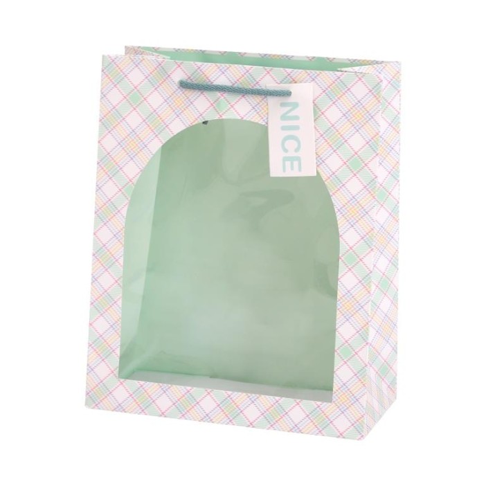 Пакет подарочный «Nice», green (18*23*10) 