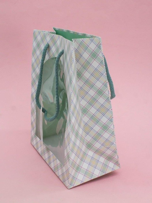 Пакет подарочный «Nice», green (18*23*10) 