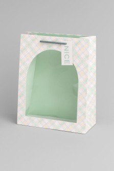Пакет подарочный «Nice», green (18*23*10)