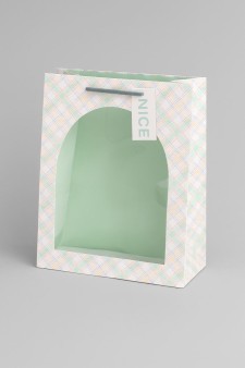 Пакет подарочный «Nice», green (18*23*10)