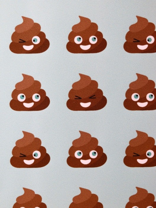 ОБЛОЖКА ДЛЯ ПАСПОРТА Kakashulya, плотность 600 мкм 