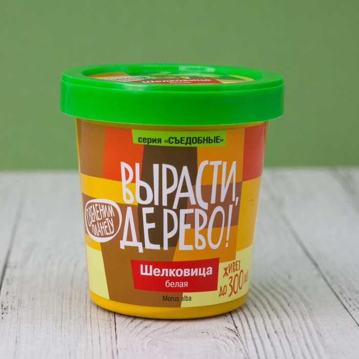 Набор для выращивания "Шелковица белая" 