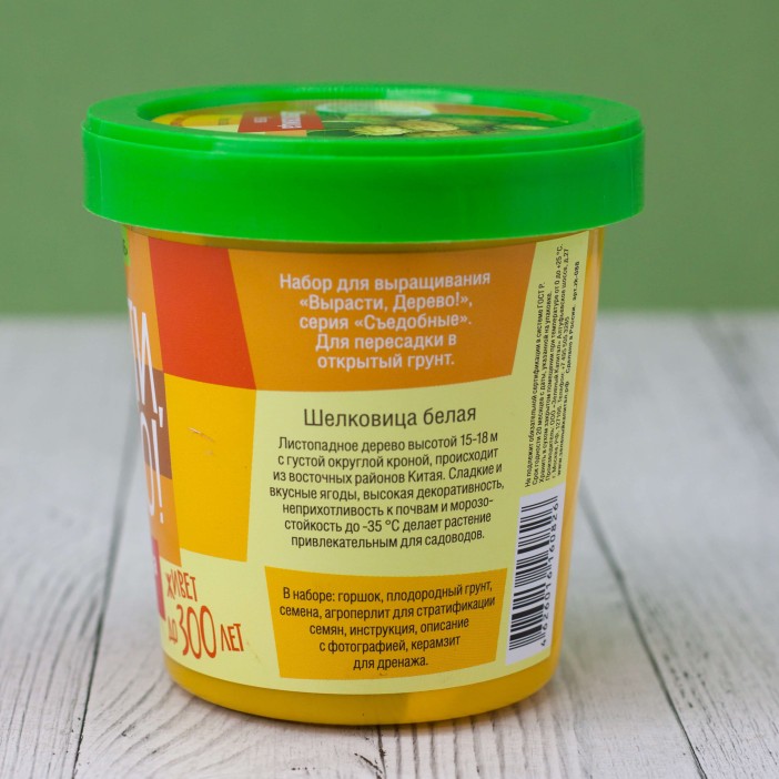 Набор для выращивания "Шелковица белая" 