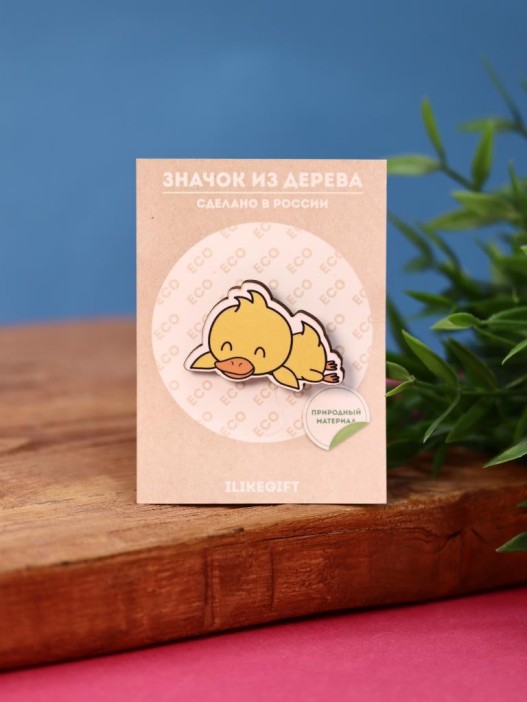 Значок Sleeping Duck 