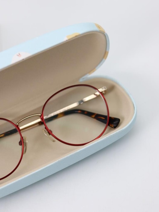 Чехол для очков GIRLY &quot;Many kitten&quot;, blue 