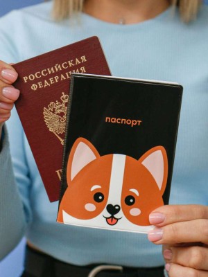 ОБЛОЖКА ДЛЯ ПАСПОРТА «Dear dog»