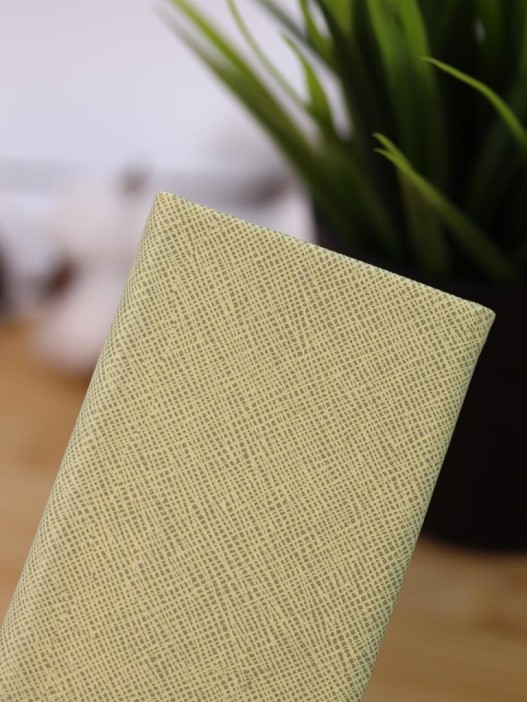 Чехол для очков GIRLY &quot;Prism Case&quot;, green 