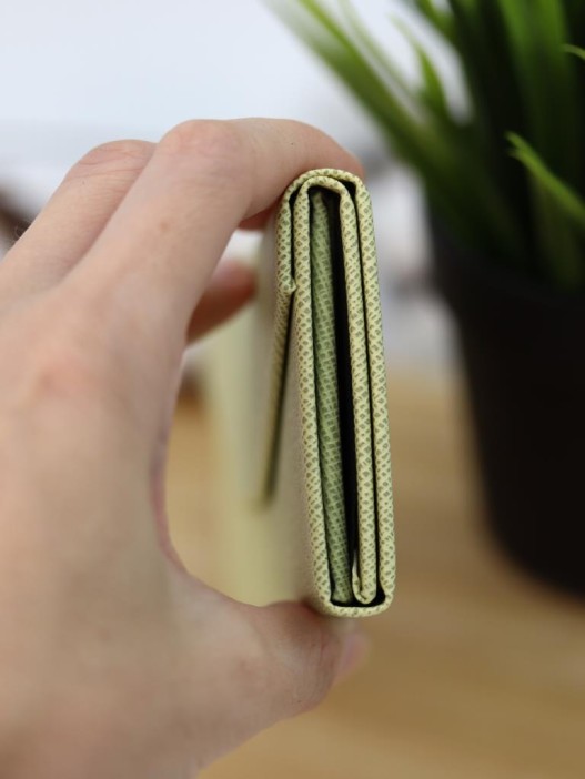 Чехол для очков GIRLY &quot;Prism Case&quot;, green 