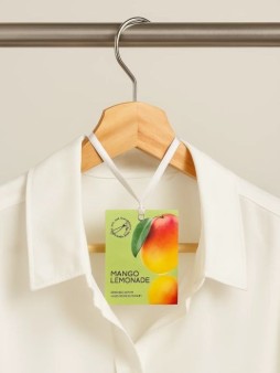 Саше ароматическое "Summer Mangо lemonade", 10 гр