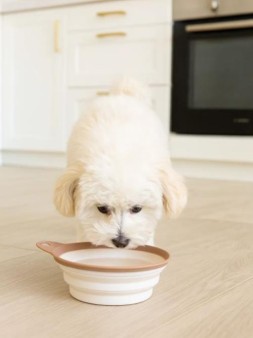 Складная миска для домашних животных "С собой" (14x4см, 350мл)