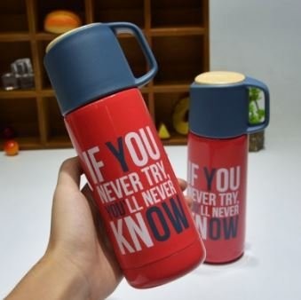 ТЕРМОС "If you Never Try..." 480ml 