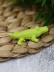 Ластики &quot;Crocodile&quot;, 5 шт. в наборе 