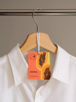 Саше ароматическое "Summer Papaya", 10 гр