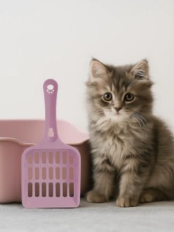 Совок для уборки лотка (9х19,5х2см), mix 4 цв.