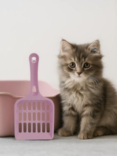 Совок для уборки лотка (9х19,5х2см), mix 4 цв.