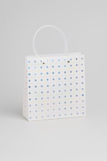 Пакет подарочный прозрачный «Transparent hose», small dots (22*21,5*10)