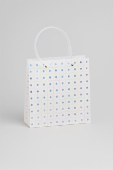 Пакет подарочный прозрачный «Transparent hose», small dots (22*21,5*10)