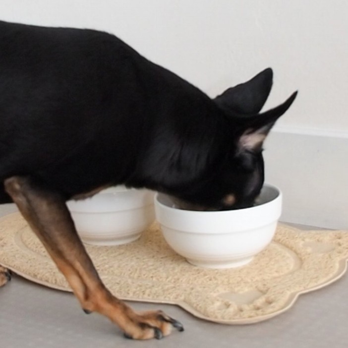 Коврик под миски &quot;Следы&quot; (40х26 см). 