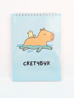 Скетчбук DRAW ME! «Капибара и утка», 14х20 см, плотность 100 гр