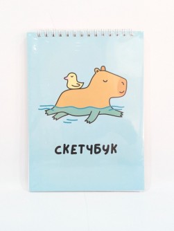 Блокнот для зарисовок DRAW ME! "Капибара и утка", 14х20 см, плотность 100 гр