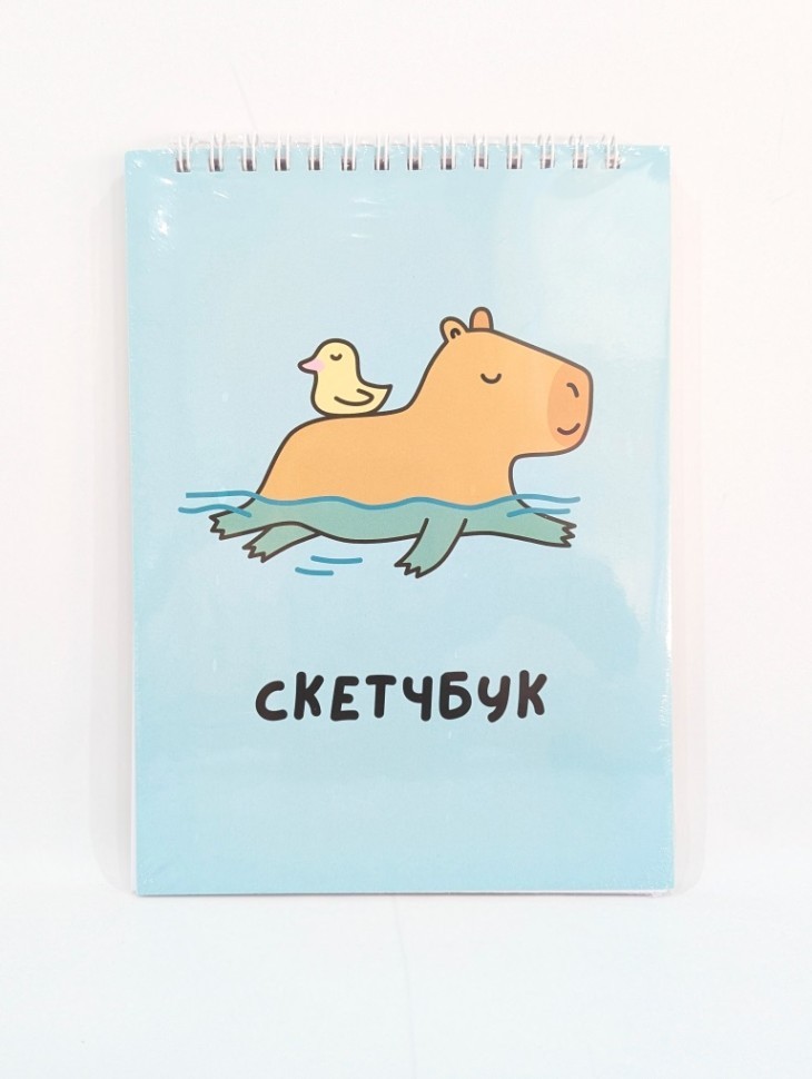Блокнот для зарисовок DRAW ME! "Капибара и утка", 14х20 см, плотность 100 гр