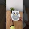 Ланчбокс OWL, розовая 