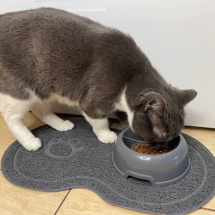 Коврик под миски &quot;Рыбка&quot; (45х26 см). 