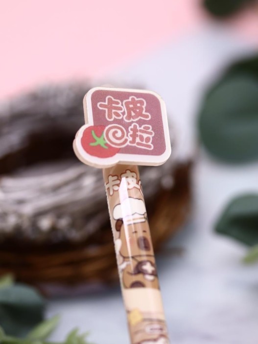 Ручка пиши-стирай "Life Capy", mix 