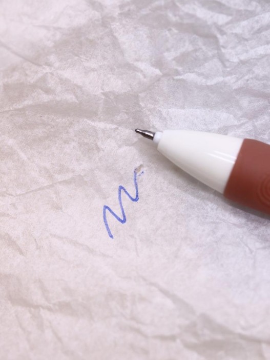 Ручка пиши-стирай "Life Capy", mix 