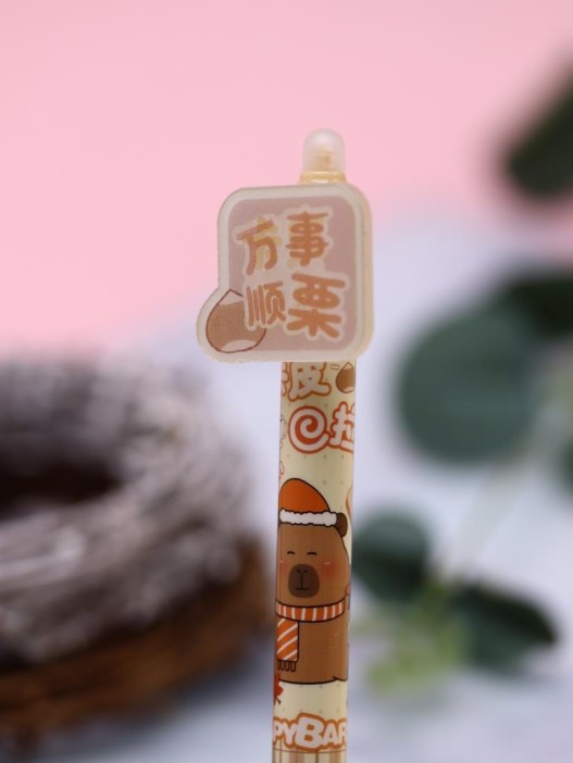 Ручка пиши-стирай "Life Capy", mix 