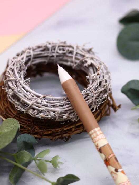 Ручка пиши-стирай "Life Capy", mix 