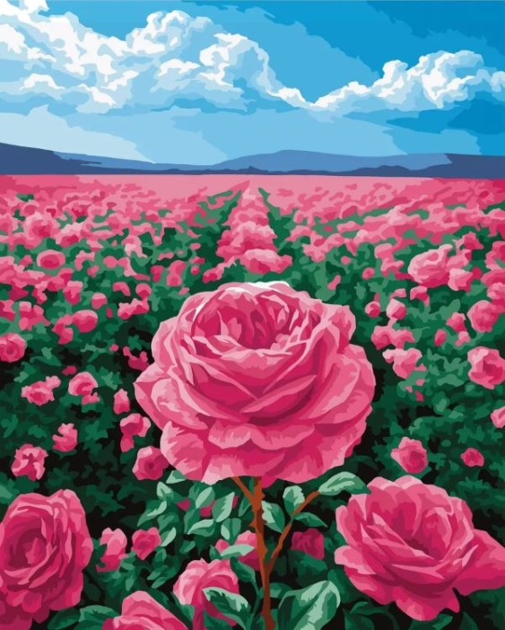 Картина по номерам 40*50 &quot;Поле роз&quot; (24 цвета) 