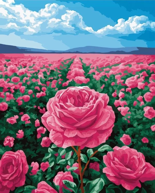 Картина по номерам 40*50 "Поле роз" (24 цвета)