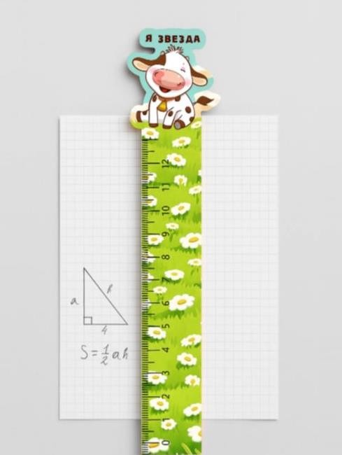 Линейка ECO из дерева iLikeGift «Я звезда» 