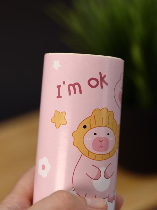 Ролик для чистки одежды &quot;Capybara is watching&quot;, 10 см*60 листов 