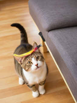 Махалка для кошек "Разноцветные ленты на веревке", звенящая